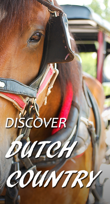 Discover Dutch Country